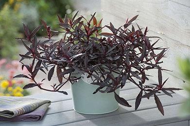 永劫无间合作平遥古兵器博物馆，非遗传承人还原霸气狼主刀