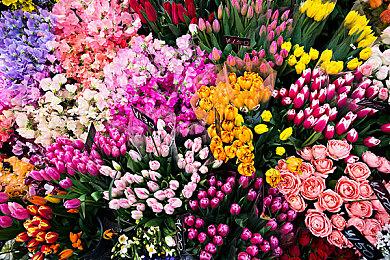 《漫威银河护卫队》发布敌人概念图 新星军团、宇宙真理教会等